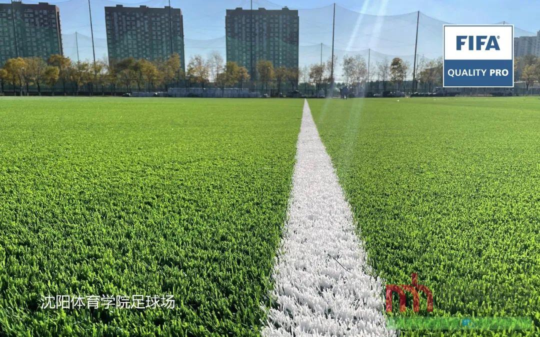遼寧沈陽體育學院人造草坪足球場